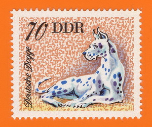 Dt_Dogge_DDR_1976