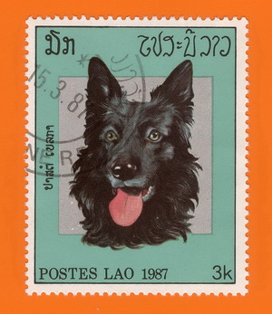 Hund_Laos_1987