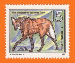 Mähnenwolf_DDR_1980.jpg