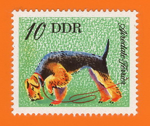 Terrier_DDR_1976