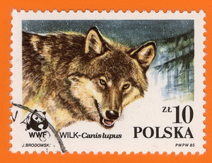 Wolf_Polen_1985